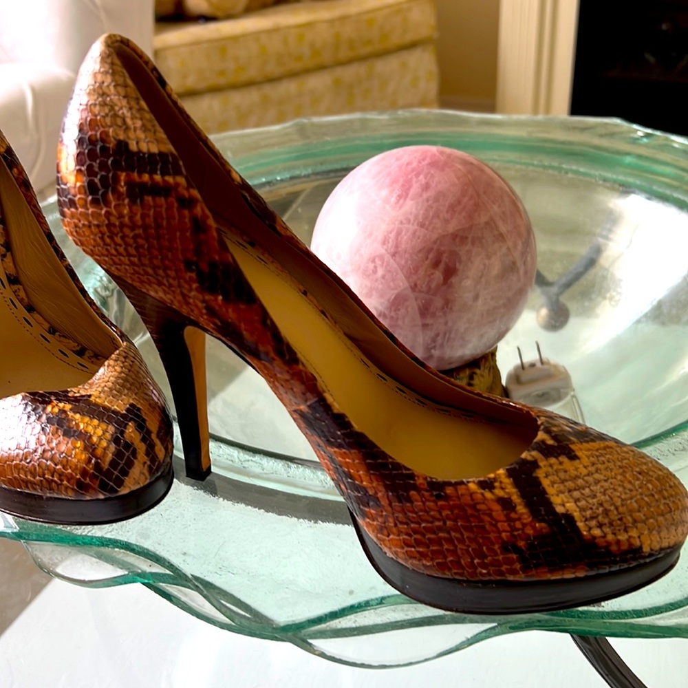 OMG Amazing snake skin Coach heels in excellent condition size 8.5
